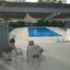 3 bedroom apartment for sale pervolia larnaca 1602522 thumbnail 13147249