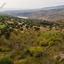 land for sale koili paphos 1354522 thumbnail 17936529