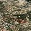 land for sale koili paphos 8959522 thumbnail 17782241