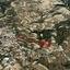 land for sale koili paphos 8959522 thumbnail 17782242