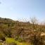 land for sale koili paphos 8959522 thumbnail 17782243