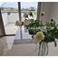 2 bedroom apartment for rent larnaca municipality larnaca 8101622 thumbnail 13209959