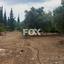 land for sale kouklia pafou paphos 7703622 thumbnail 10008813