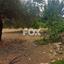 land for sale kouklia pafou paphos 7703622 thumbnail 10008815