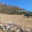 land for sale pissouri limassol 1435622 thumbnail 2764141