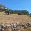 land for sale pissouri limassol 1435622 thumbnail 2764142