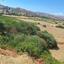 land for sale pissouri limassol 1435622 thumbnail 2764143