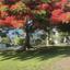 2 bedroom apartment for rent agios tychonas limassol 8620722 thumbnail 15826509