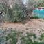 2 bedroom bungalow for sale agioi anargyroi larnaca 1796722 thumbnail 10799362