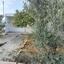 2 bedroom bungalow for sale agioi anargyroi larnaca 1796722 thumbnail 10799370