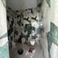 2 bedroom penthouse for sale livadia larnacas larnaca 7820722 thumbnail 11226527