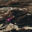 land for sale neo chorio paphos 8629722 thumbnail 15869631
