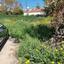 plot for sale coral bay paphos 7546722 thumbnail 14374030