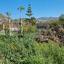plot for sale coral bay paphos 7546722 thumbnail 14374032