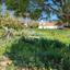 plot for sale coral bay paphos 7546722 thumbnail 14374036