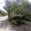 land for sale kelokedara paphos 8126822 thumbnail 16296593