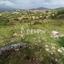 land for sale kelokedara paphos 8126822 thumbnail 16296595