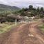 land for sale lysos paphos 8597822 thumbnail 15732096