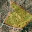 land for sale monagroulli limassol 8180822 thumbnail 13594719