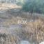 land for sale pyrgos limassol limassol 1146822 thumbnail 5538154