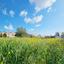 plot for sale konia paphos 1313822 thumbnail 2408931