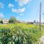 plot for sale konia paphos 1313822 thumbnail 2408932