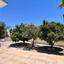 3 bedroom detached house for sale oroklini larnaca 8791922 thumbnail 16689092