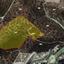 land for sale agios tychonas limassol 966922 thumbnail 883412