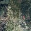 land for sale panagia paphos 1352922 thumbnail 2540474