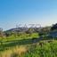 land for sale parekklisia limassol 7948922 thumbnail 11339173