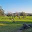 land for sale parekklisia limassol 7948922 thumbnail 11339175