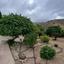 3 bedroom detached house for sale peyia paphos 1681032 thumbnail 5168437