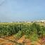land for sale sotira ammochostou famagusta 1269032 thumbnail 13155523