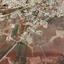 land for sale sotira ammochostou famagusta 1269032 thumbnail 13155529