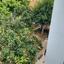 studio building for sale armou paphos 1355032 thumbnail 5617881
