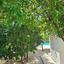 3 bedroom detached house for sale erimi limassol 8936132 thumbnail 17734627