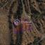 1823 SQM Land for sale in Kapileio, Limassol thumbnail 6809298