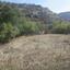 land for sale kallepeia paphos 7533132 thumbnail 15596864