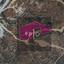 land for sale parekklisia limassol 8275132 thumbnail 15580556