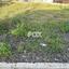 plot for sale anarita paphos 1270132 thumbnail 15924782