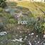 plot for sale anarita paphos 1270132 thumbnail 15924783