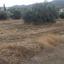 plot for sale shia nicosia 1062132 thumbnail 16182202
