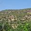 21405 SQM Land for sale in Agios Theodoros Larnacas, Larnaca thumbnail 16295230
