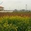 land for sale pano deftera nicosia 1932232 thumbnail 14473158