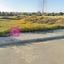 plot for sale tseri nicosia 7881232 thumbnail 11048677