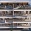 3 bedroom apartment for sale anthoupoli limassol limassol 7507332 thumbnail 14142777