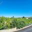 3 bedroom linked detached house for sale pano arodes paphos 8755332 thumbnail 16513431