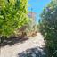 3 bedroom linked detached house for sale pano arodes paphos 8755332 thumbnail 16513471