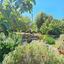 3 bedroom linked detached house for sale pano arodes paphos 8755332 thumbnail 16513476