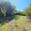 3 bedroom linked detached house for sale pano arodes paphos 8755332 thumbnail 16513479